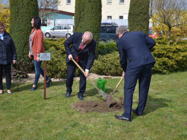 Uroczyste sadzenie dębu "Piotr"