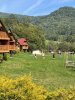 Wycieczka w Bieszczady 11-13.09 